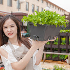 49.5cm Black Rectangular Vegetable Herb Flower Planter Box Set of 4