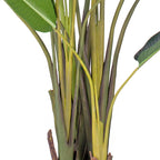 220cm Birds of Paradise Artificial Plant